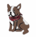Cartoon Boston Terrier dog with red bandana logo for Courtney’s Pampered Pets