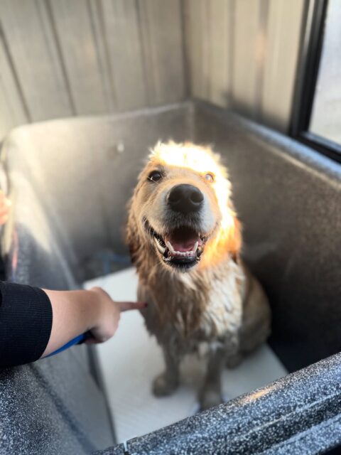 Bath tub pics are my favourite🫧🩵