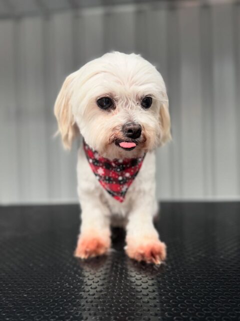 Days with Cutie are my favourite💗