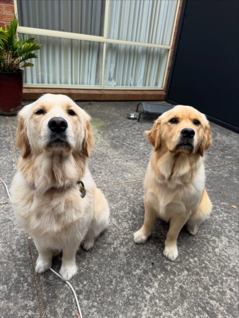 Always love seeing these two💛