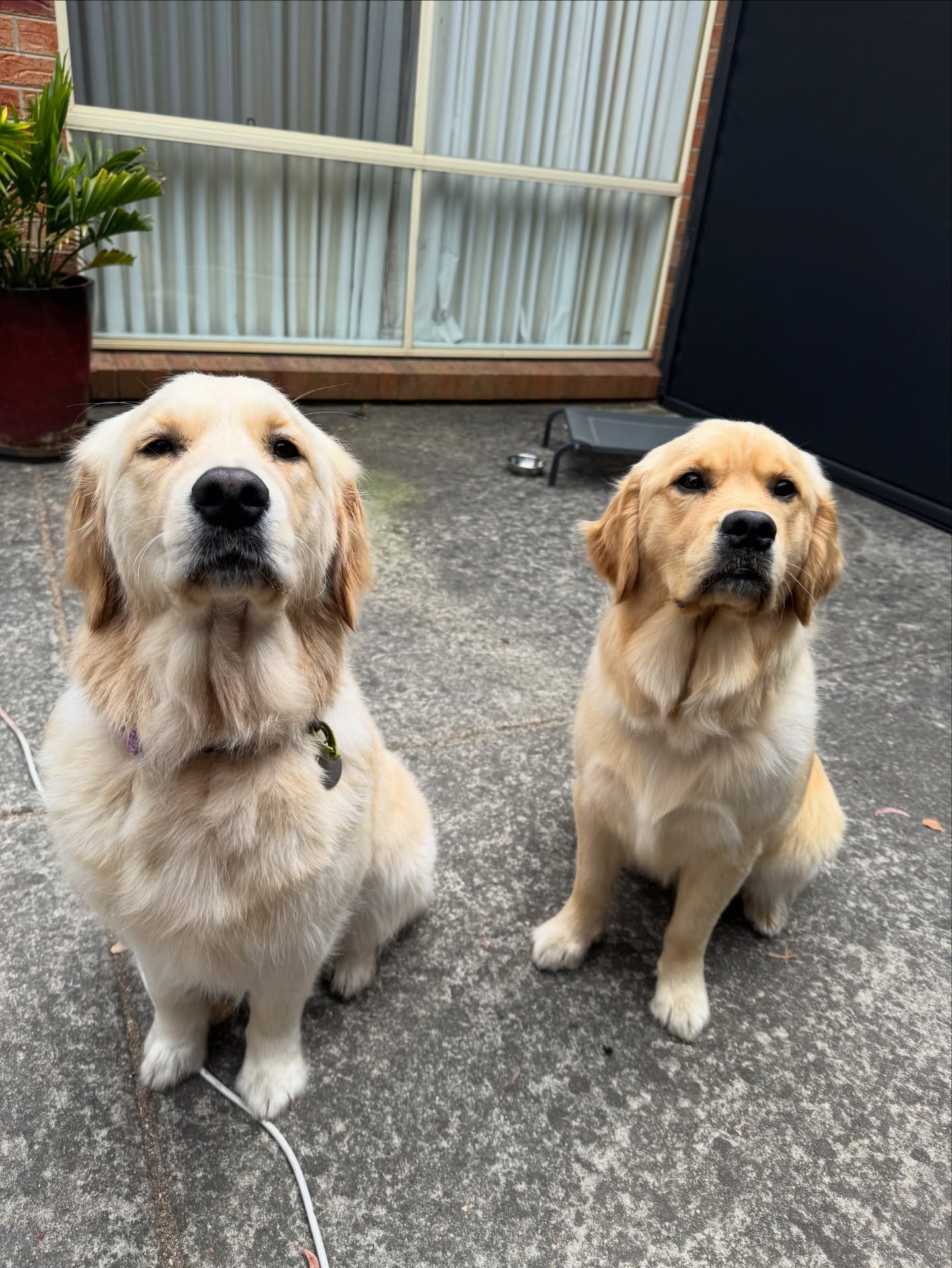 Always love seeing these two💛