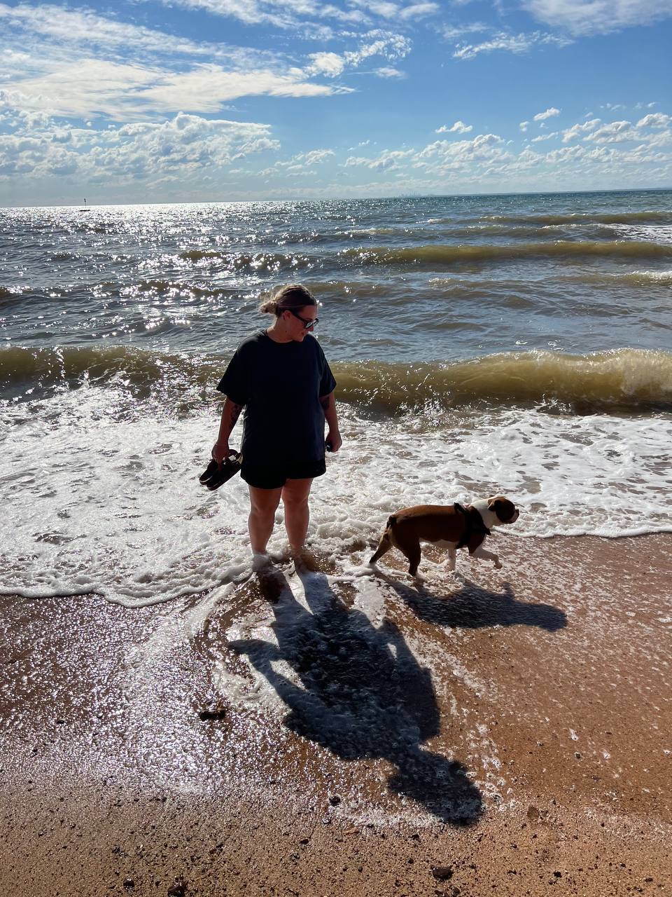 Courtney walking Mac her Boston Terrier on the beach - dog groomer Langwarrin